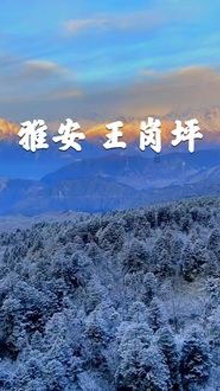 战斗机的反击