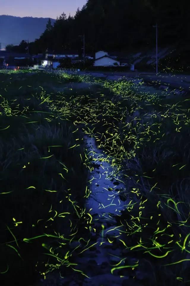 强化运输组织 满足民生所需